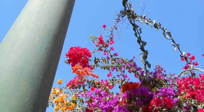Flowers and Pole, from Morocco, (c) Larry Cwik 2015
